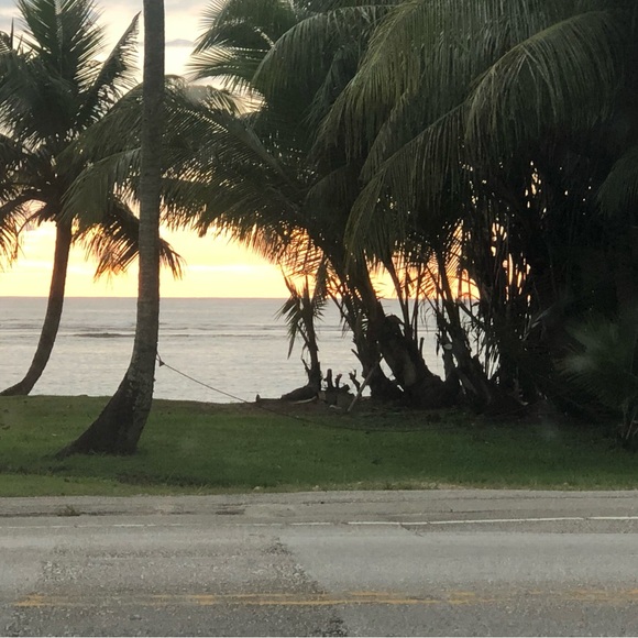 LIVE - Picture 3 of 10